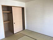 Fibre glass doors